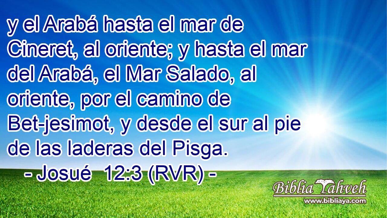 y el Arabá hasta el mar de Cineret, al oriente; y hasta el mar del Arabá, el Mar Salado, al oriente, por el camino de Bet-jesimot, y desde el sur al pie de las laderas del Pisga.
