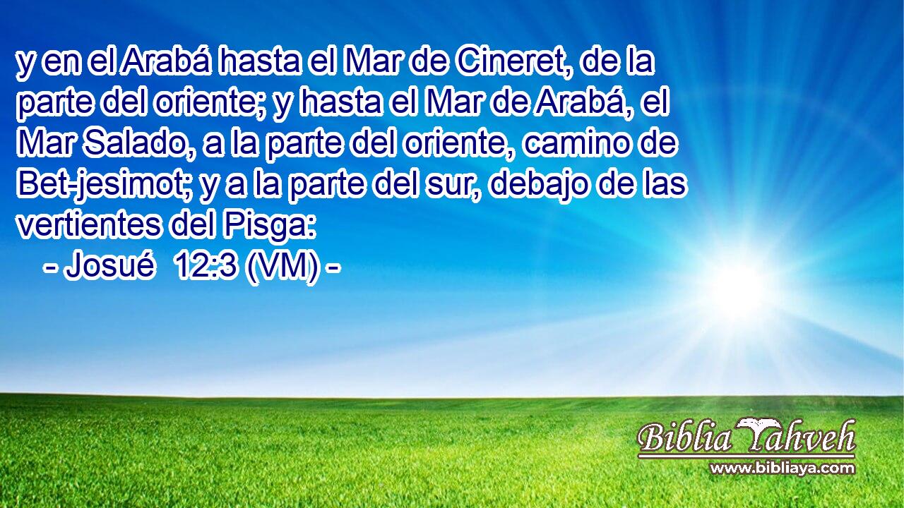  y en el Arabá hasta el Mar de Cineret, de la parte del oriente; y hasta el Mar de Arabá, el Mar Salado, a la parte del oriente, camino de Bet-jesimot; y a la parte del sur, debajo de las vertientes del Pisga: 