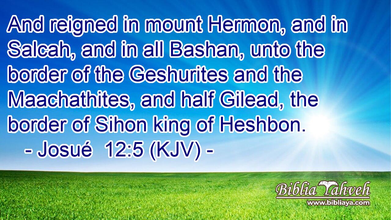 And reigned in mount Hermon, and in Salcah, and in all Bashan, unto the border of the Geshurites and the Maachathites, and half Gilead, the border of Sihon king of Heshbon.