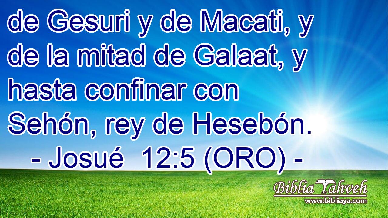  de Gesuri y de Macati, y de la mitad de Galaat, y hasta confinar con Sehón, rey de Hesebón. 