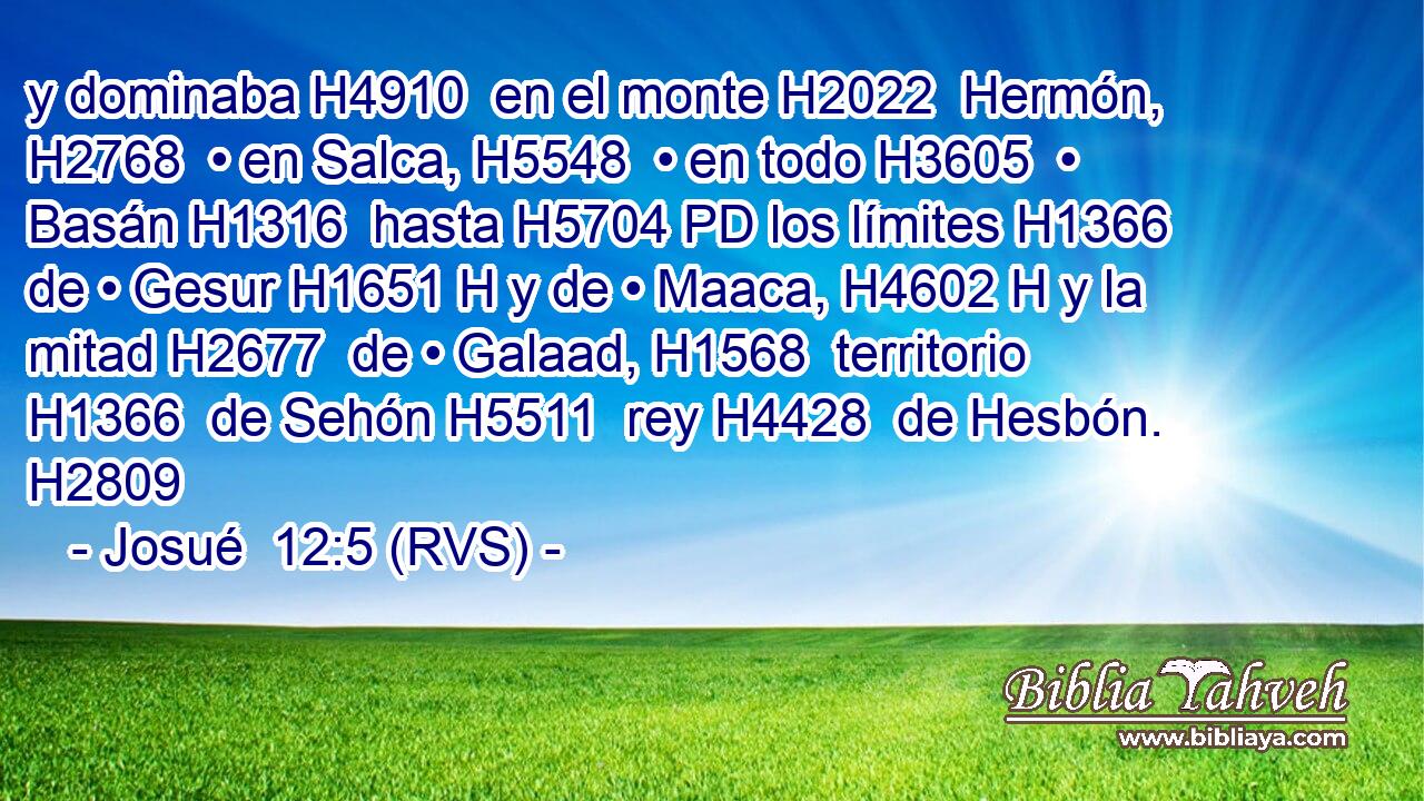 y dominaba H4910  en el monte H2022  Hermón, H2768  • en Salca, H5548  • en todo H3605  • Basán H1316  hasta H5704 PD los límites H1366  de • Gesur H1651 H y de • Maaca, H4602 H y la mitad H2677  de • Galaad, H1568  territorio H1366  de Sehón H5511  rey H4428  de Hesbón. H2809  
