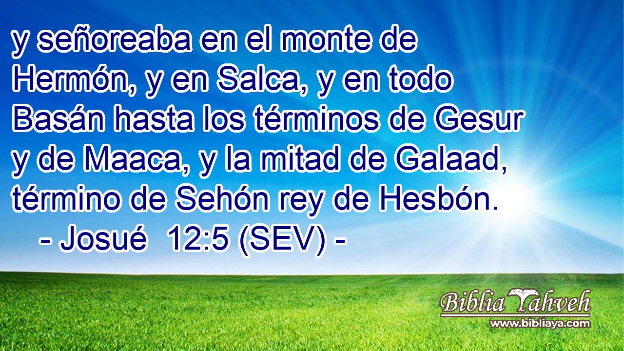 y señoreaba en el monte de Hermón, y en Salca, y en todo Basán hasta los términos de Gesur y de Maaca, y la mitad de Galaad, término de Sehón rey de Hesbón.