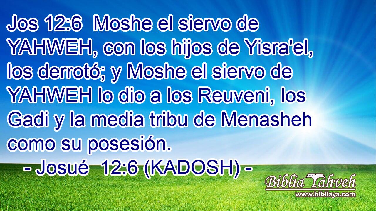 Moshe el siervo de YAHWEH, con los hijos de Yisra'el, los derrotó; y Moshe el siervo de YAHWEH lo dio a los Reuveni, los Gadi y la media tribu de Menasheh como su posesión. 