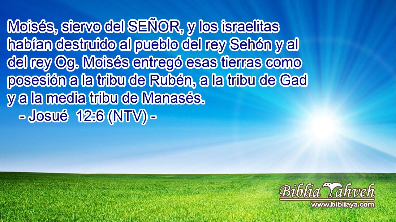 Moisés, siervo del SEÑOR, y los israelitas habían destruido al pueblo del rey Sehón y al del rey Og. Moisés entregó esas tierras como posesión a la tribu de Rubén, a la tribu de Gad y a la media tribu de Manasés.
