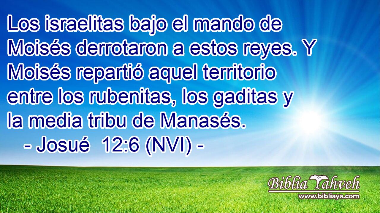  Los israelitas bajo el mando de Moisés derrotaron a estos reyes. Y Moisés repartió aquel territorio entre los rubenitas, los gaditas y la media tribu de Manasés. 