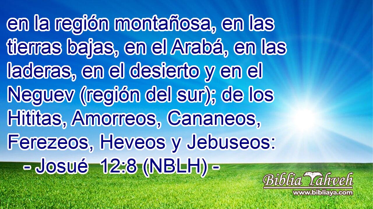  en la región montañosa, en las tierras bajas, en el Arabá, en las laderas, en el desierto y en el Neguev (región del sur); de los Hititas, Amorreos, Cananeos, Ferezeos, Heveos y Jebuseos: 