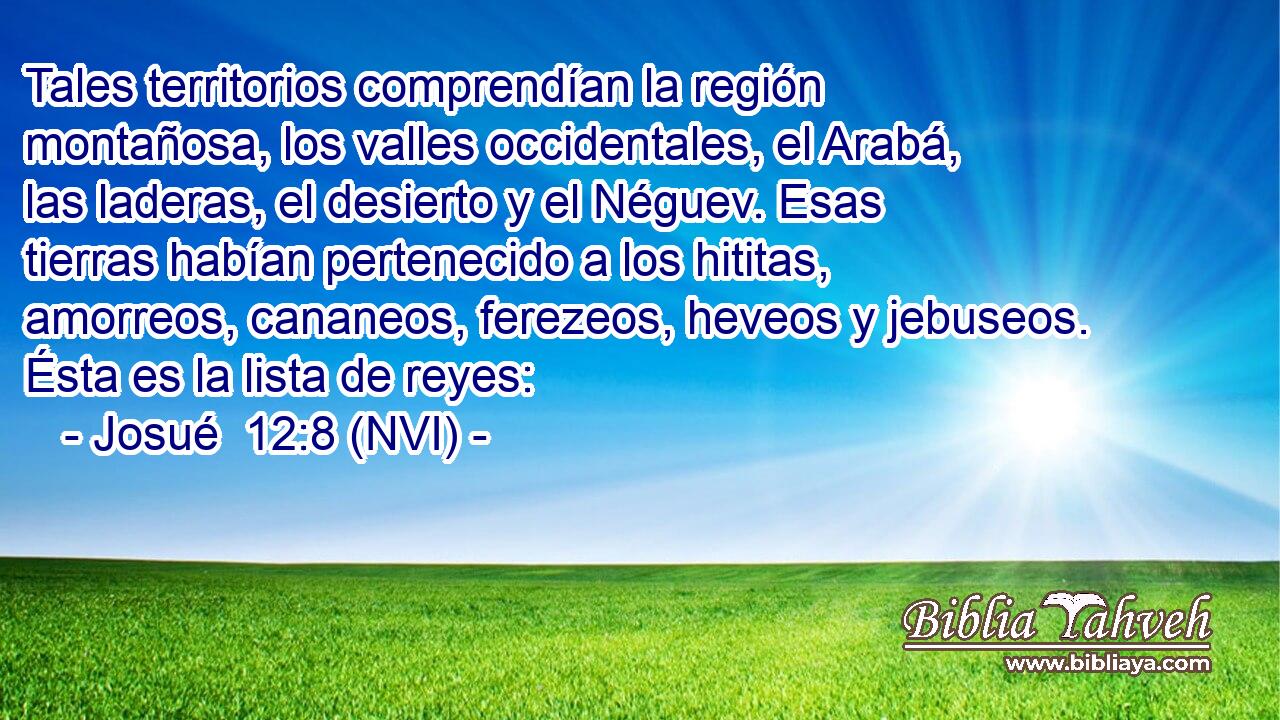  Tales territorios comprendían la región montañosa, los valles occidentales, el Arabá, las laderas, el desierto y el Néguev. Esas tierras habían pertenecido a los hititas, amorreos, cananeos, ferezeos, heveos y jebuseos. Ésta es la lista de reyes: 