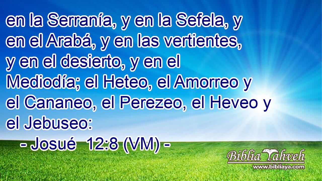  en la Serranía, y en la Sefela, y en el Arabá, y en las vertientes, y en el desierto, y en el Mediodía; el Heteo, el Amorreo y el Cananeo, el Perezeo, el Heveo y el Jebuseo: 