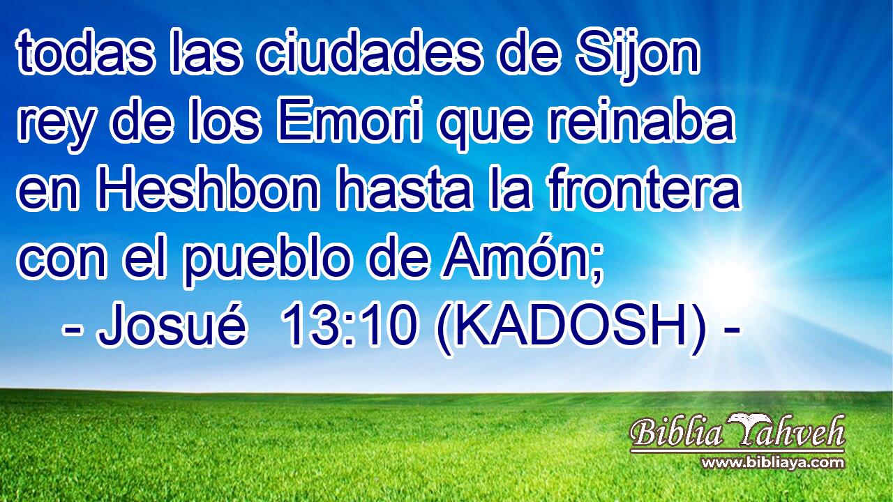  todas las ciudades de Sijon rey de los Emori que reinaba en Heshbon hasta la frontera con el pueblo de Amón; 