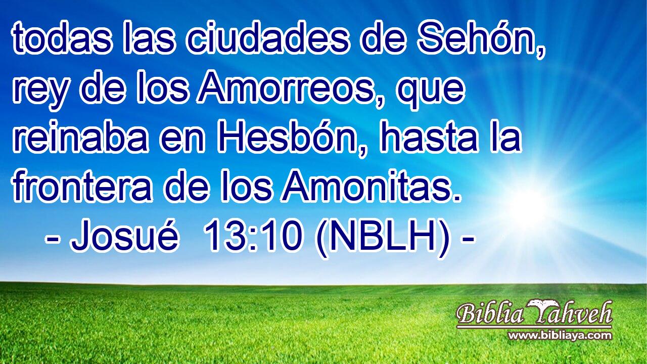  todas las ciudades de Sehón, rey de los Amorreos, que reinaba en Hesbón, hasta la frontera de los Amonitas. 