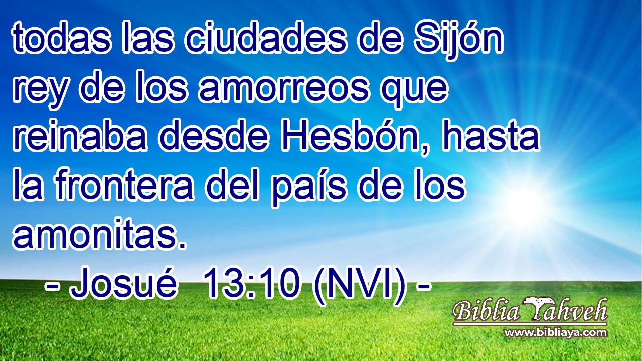  todas las ciudades de Sijón rey de los amorreos que reinaba desde Hesbón, hasta la frontera del país de los amonitas. 