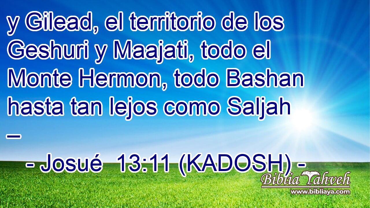  y Gilead, el territorio de los Geshuri y Maajati, todo el Monte Hermon, todo Bashan hasta tan lejos como Saljah – 