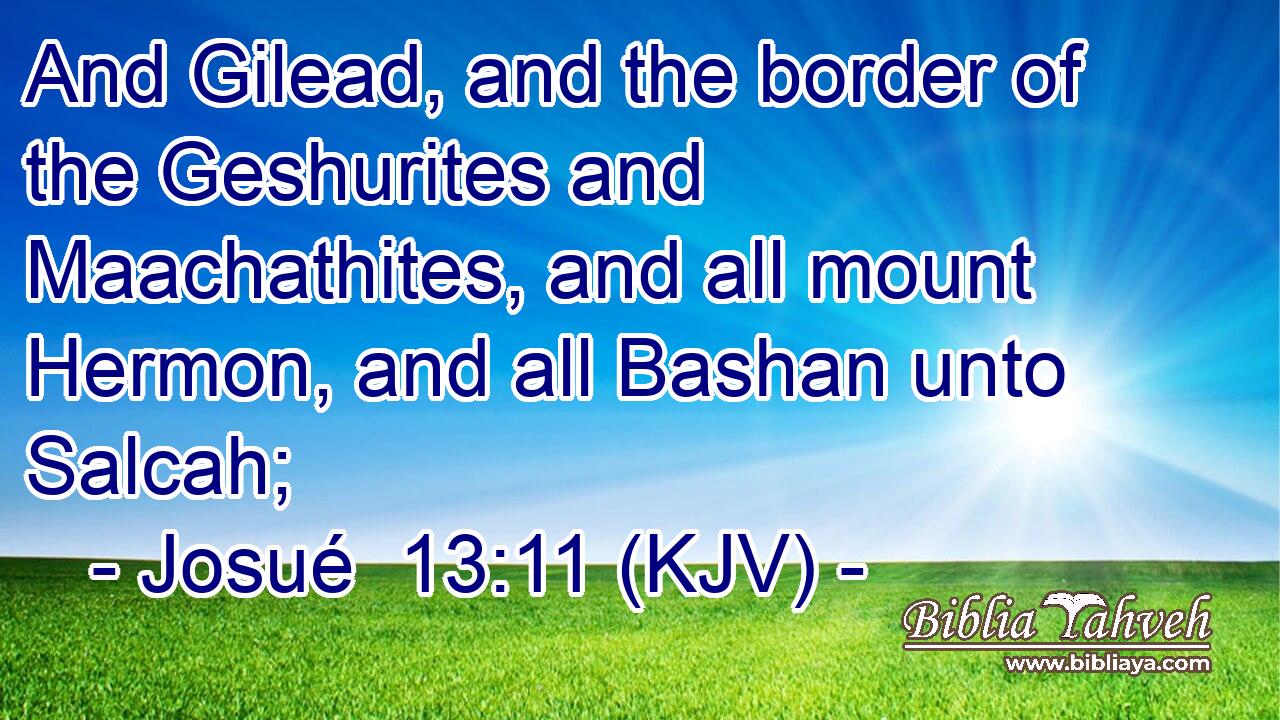 And Gilead, and the border of the Geshurites and Maachathites, and all mount Hermon, and all Bashan unto Salcah;