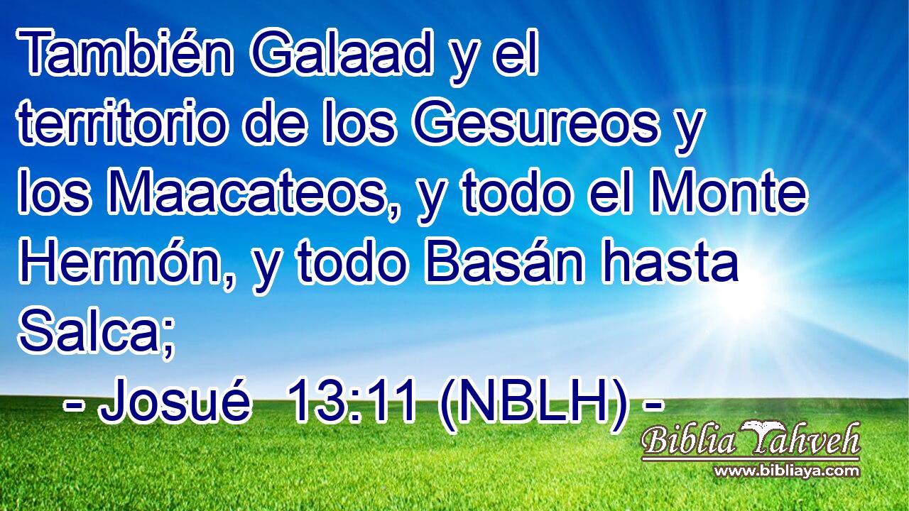  También Galaad y el territorio de los Gesureos y los Maacateos, y todo el Monte Hermón, y todo Basán hasta Salca; 