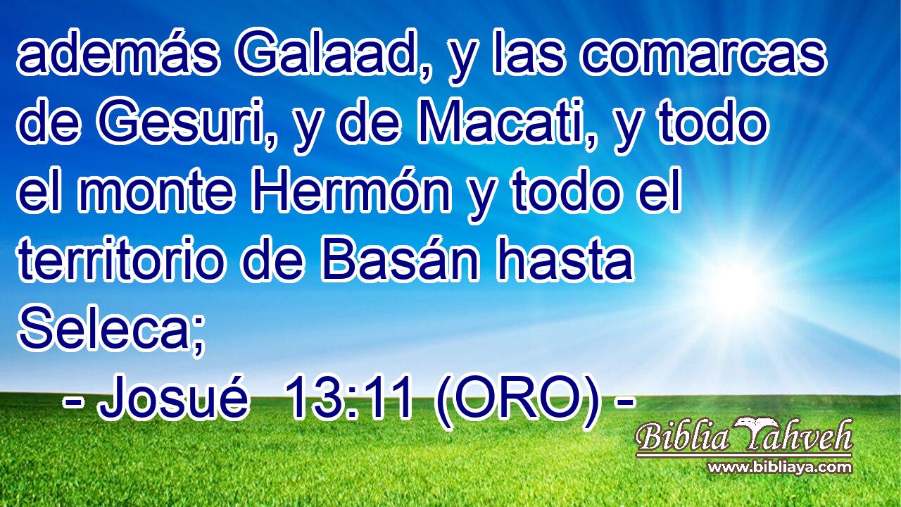  además Galaad, y las comarcas de Gesuri, y de Macati, y todo el monte Hermón y todo el territorio de Basán hasta Seleca; 