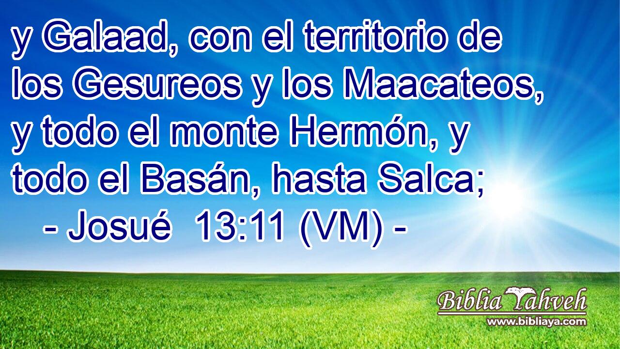  y Galaad, con el territorio de los Gesureos y los Maacateos, y todo el monte Hermón, y todo el Basán, hasta Salca; 