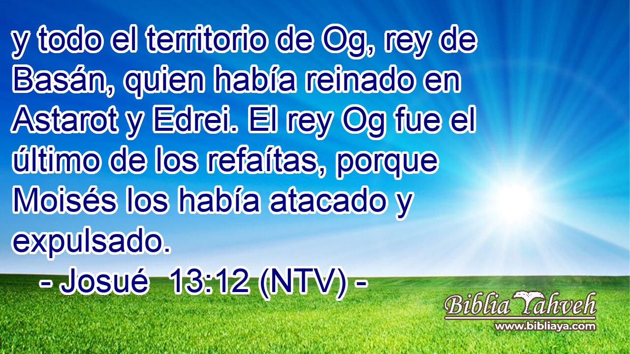 y todo el territorio de Og, rey de Basán, quien había reinado en Astarot y Edrei. El rey Og fue el último de los refaítas, porque Moisés los había atacado y expulsado.