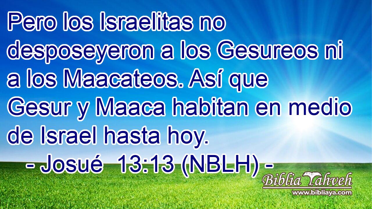  Pero los Israelitas no desposeyeron a los Gesureos ni a los Maacateos. Así que Gesur y Maaca habitan en medio de Israel hasta hoy. 