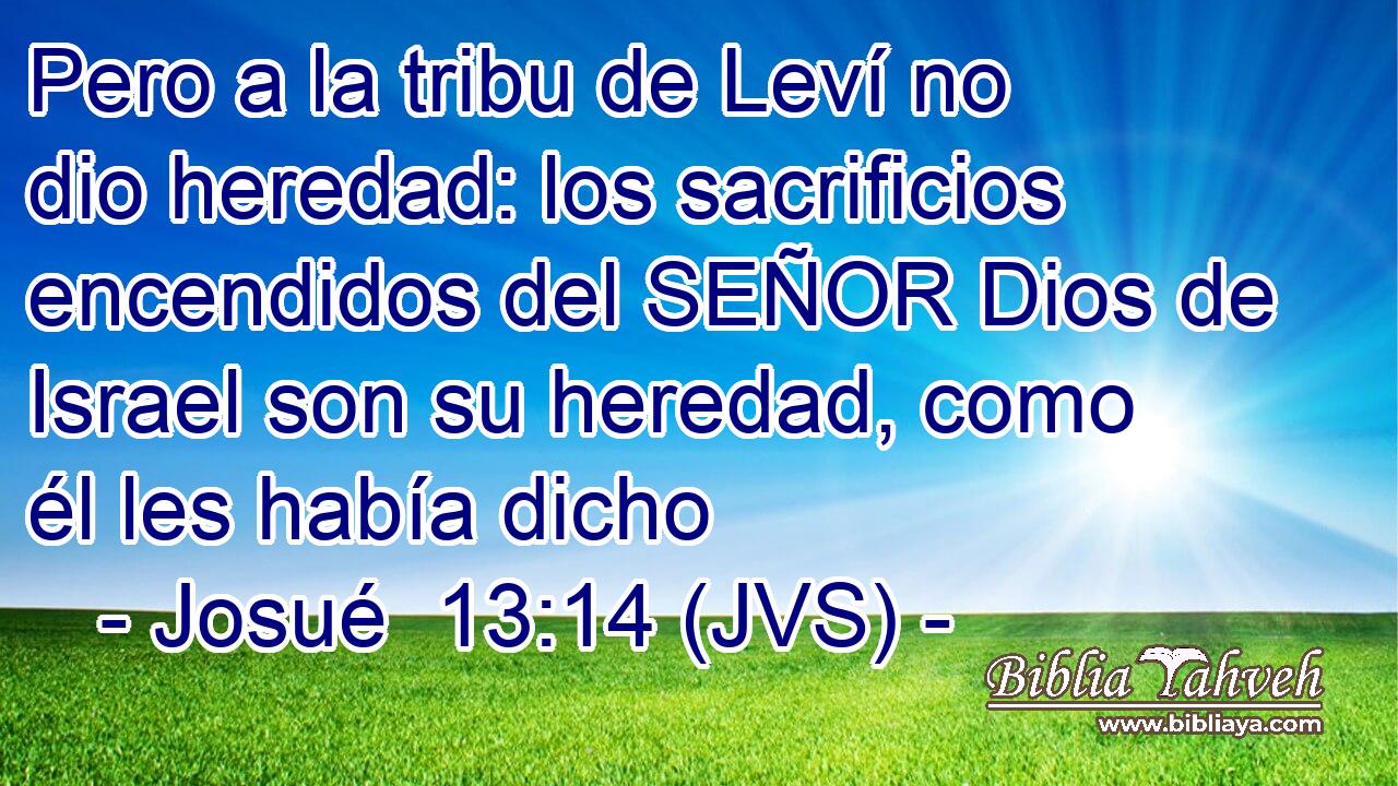 Pero a la tribu de Leví no dio heredad: los sacrificios encendidos del SEÑOR Dios de Israel son su heredad, como él les había dicho