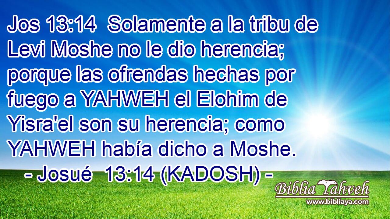  Solamente a la tribu de Levi Moshe no le dio herencia; porque las ofrendas hechas por fuego a YAHWEH el Elohim de Yisra'el son su herencia; como YAHWEH había dicho a Moshe. 