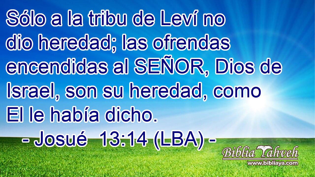 Sólo a la tribu de Leví no dio heredad; las ofrendas encendidas al SEÑOR, Dios de Israel, son su heredad, como El le había dicho.