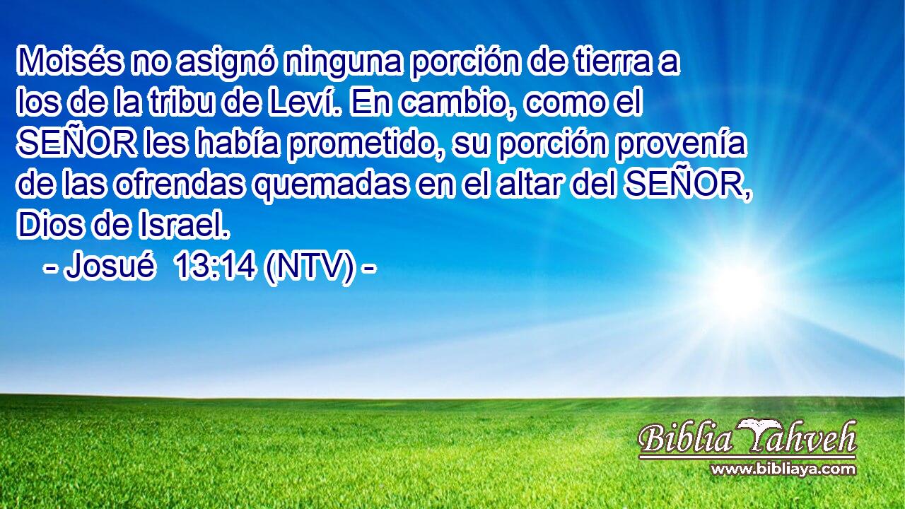 Moisés no asignó ninguna porción de tierra a los de la tribu de Leví. En cambio, como el SEÑOR les había prometido, su porción provenía de las ofrendas quemadas en el altar del SEÑOR, Dios de Israel.