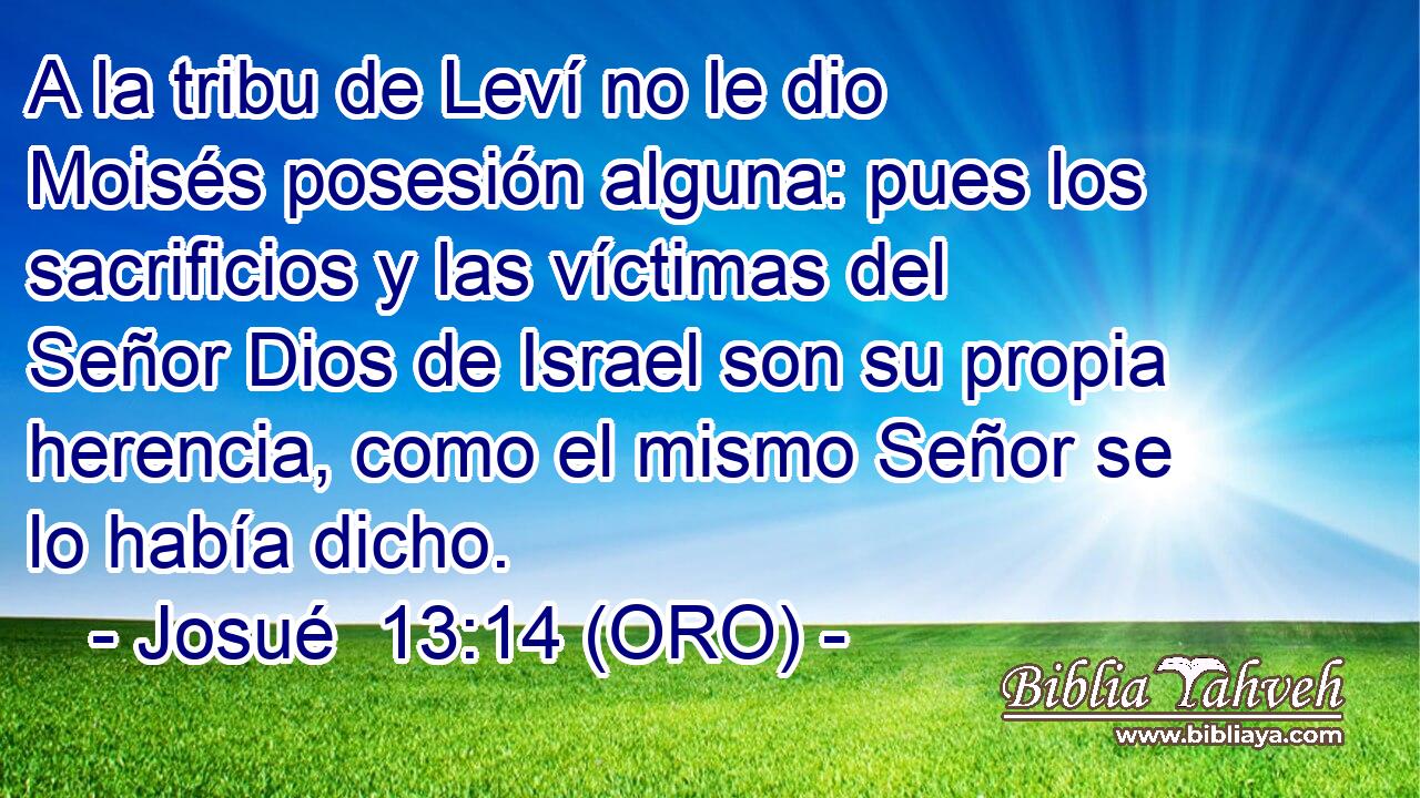 A la tribu de Leví no le dio Moisés posesión alguna: pues los sacrificios y las víctimas del Señor Dios de Israel son su propia herencia, como el mismo Señor se lo había dicho. 
