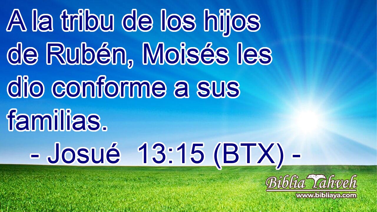 A la tribu de los hijos de Rubén, Moisés les dio conforme a sus familias.