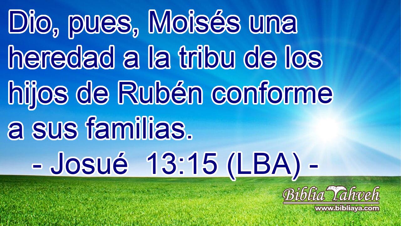 Dio, pues, Moisés una heredad a la tribu de los hijos de Rubén conforme a sus familias.