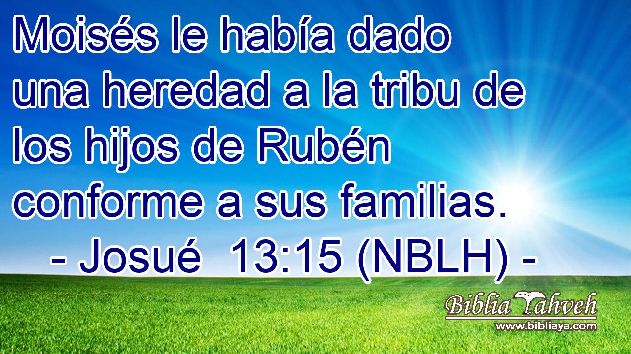  Moisés le había dado una heredad a la tribu de los hijos de Rubén conforme a sus familias. 