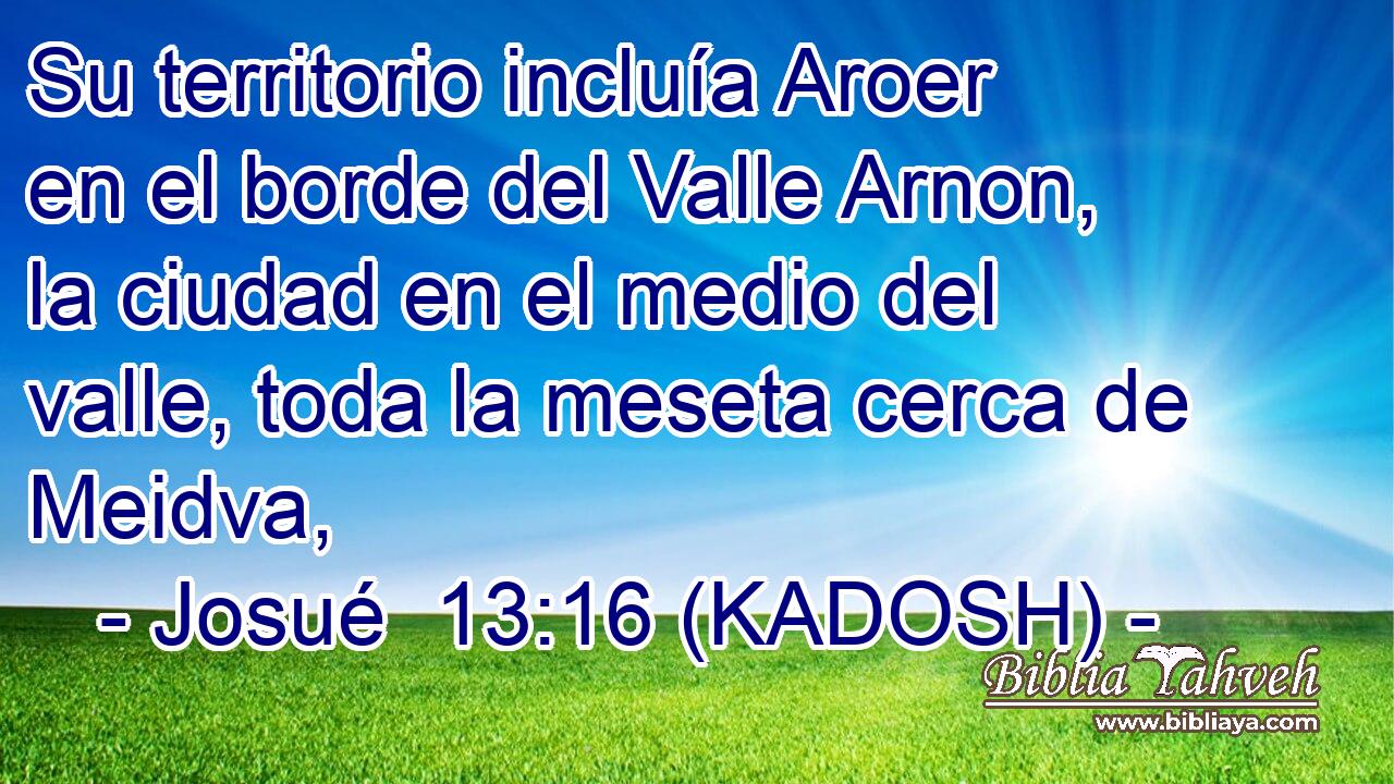  Su territorio incluía Aroer en el borde del Valle Arnon, la ciudad en el medio del valle, toda la meseta cerca de Meidva, 