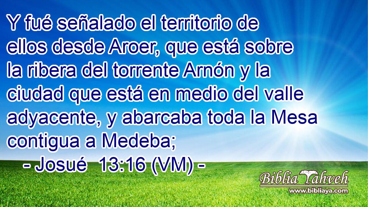  Y fué señalado el territorio de ellos desde Aroer, que está sobre la ribera del torrente Arnón y la ciudad que está en medio del valle adyacente, y abarcaba toda la Mesa contigua a Medeba; 