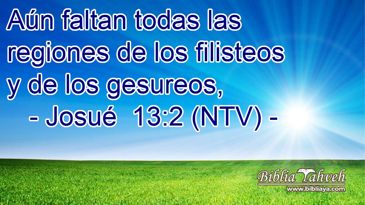 Aún faltan todas las regiones de los filisteos y de los gesureos,