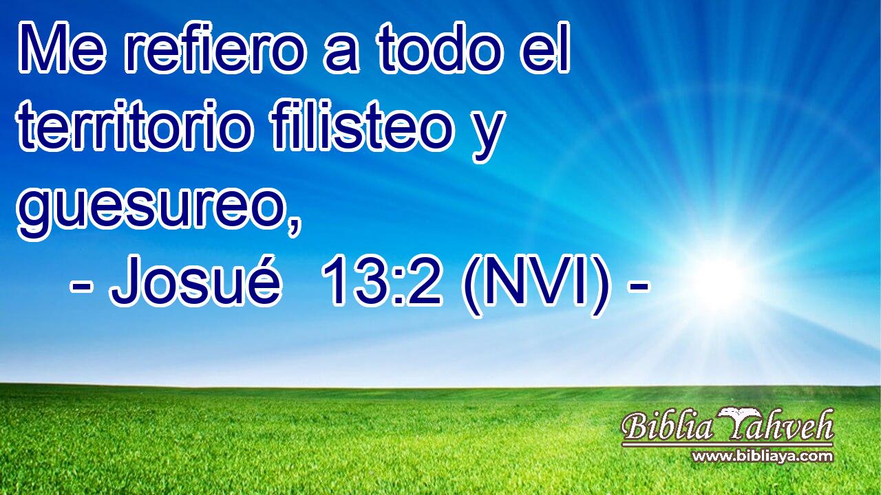 Me refiero a todo el territorio filisteo y guesureo, 