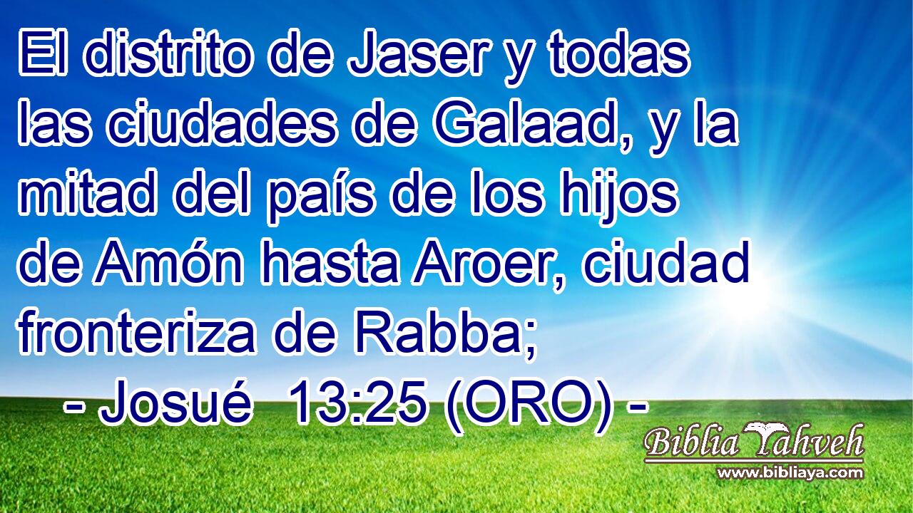  El distrito de Jaser y todas las ciudades de Galaad, y la mitad del país de los hijos de Amón hasta Aroer, ciudad fronteriza de Rabba; 