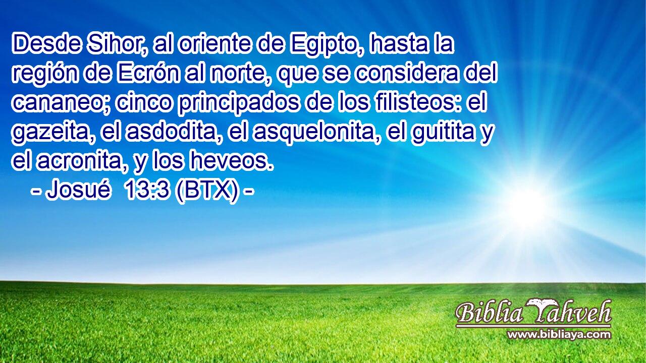 Desde Sihor, al oriente de Egipto, hasta la región de Ecrón al norte, que se considera del cananeo; cinco principados de los filisteos: el gazeita, el asdodita, el asquelonita, el guitita y el acronita, y los heveos.