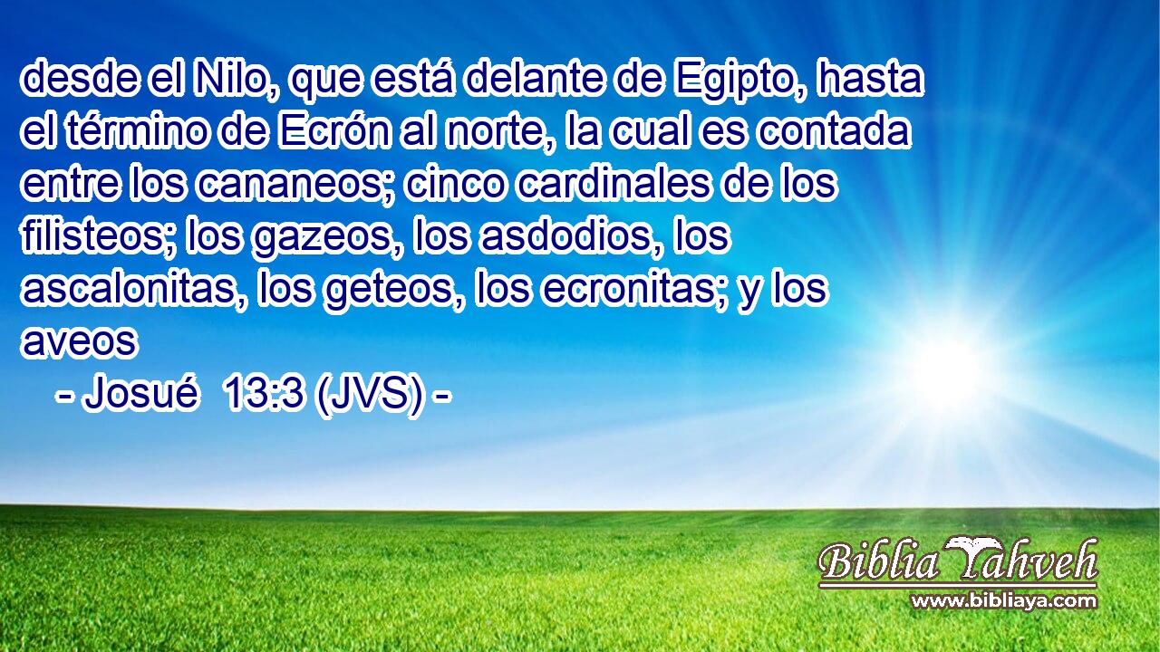 desde el Nilo, que está delante de Egipto, hasta el término de Ecrón al norte, la cual es contada entre los cananeos; cinco cardinales de los filisteos; los gazeos, los asdodios, los ascalonitas, los geteos, los ecronitas; y los aveos