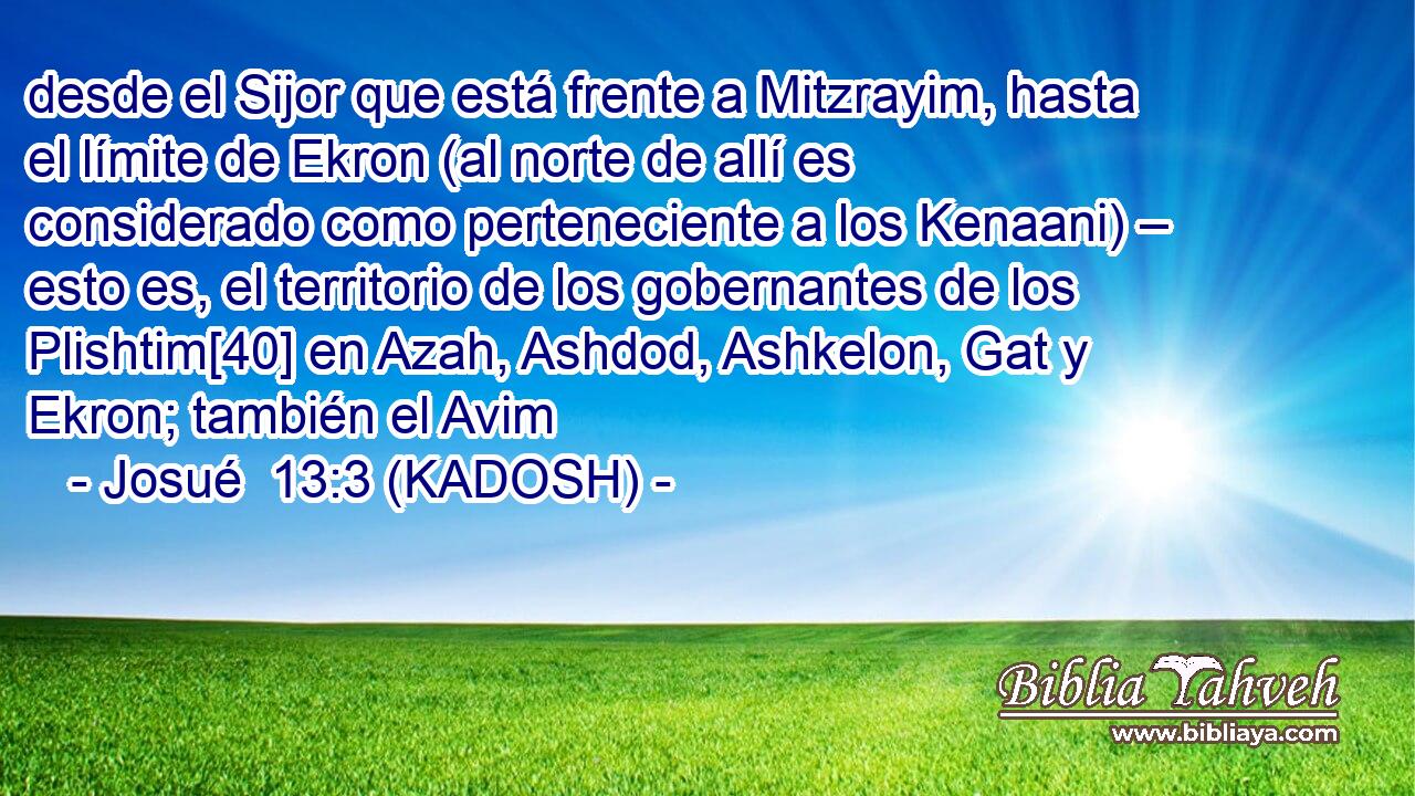 desde el Sijor que está frente a Mitzrayim, hasta el límite de Ekron (al norte de allí es considerado como perteneciente a los Kenaani) – esto es, el territorio de los gobernantes de los Plishtim[40] en Azah, Ashdod, Ashkelon, Gat y Ekron; también el Avim 