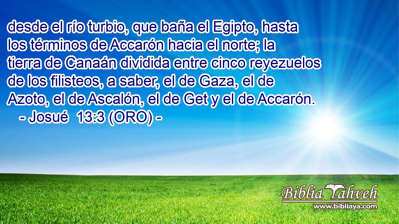  desde el río turbio, que baña el Egipto, hasta los términos de Accarón hacia el norte; la tierra de Canaán dividida entre cinco reyezuelos de los filisteos, a saber, el de Gaza, el de Azoto, el de Ascalón, el de Get y el de Accarón. 