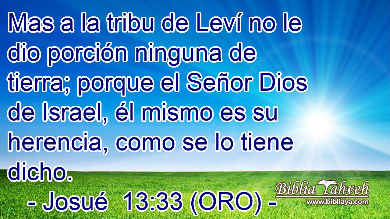  Mas a la tribu de Leví no le dio porción ninguna de tierra; porque el Señor Dios de Israel, él mismo es su herencia, como se lo tiene dicho. 