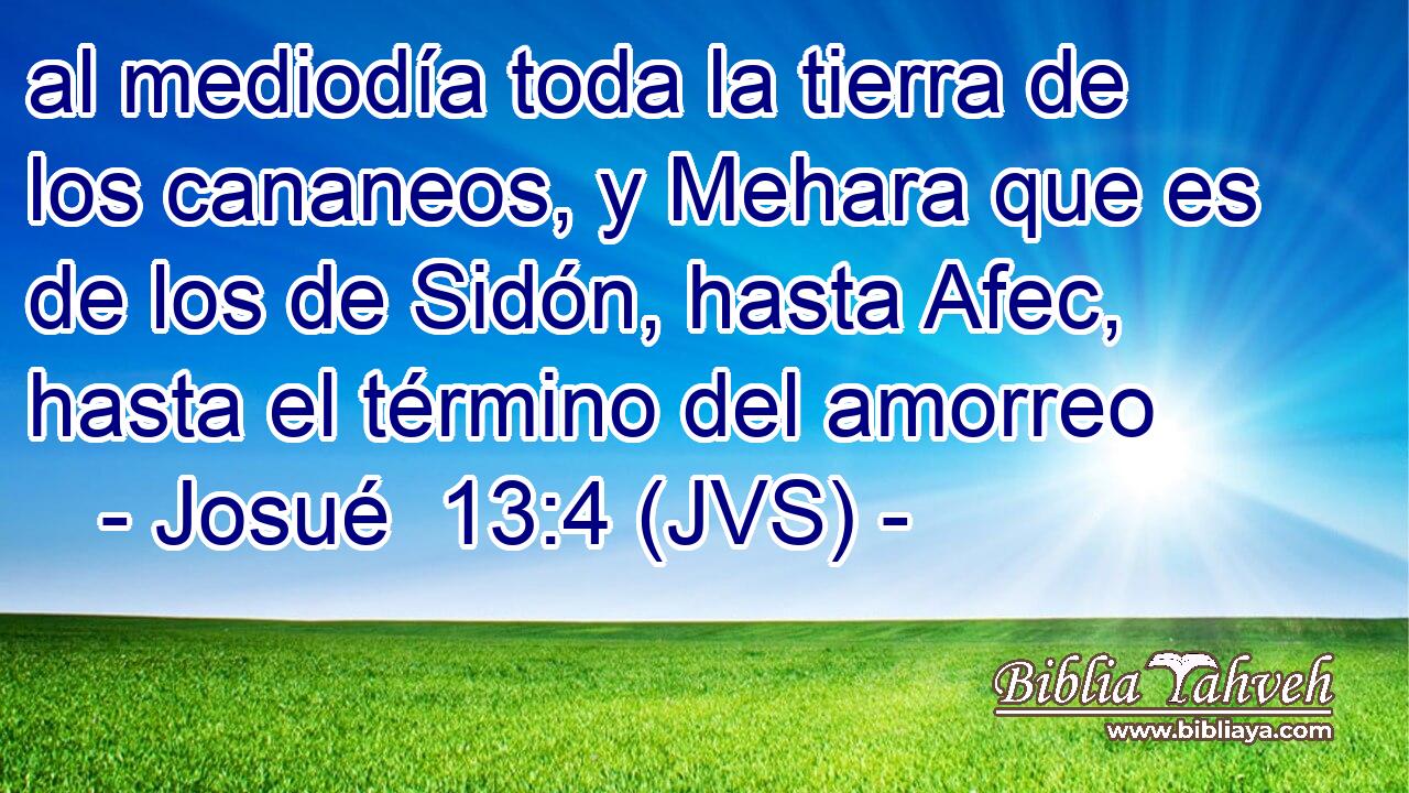 al mediodía toda la tierra de los cananeos, y Mehara que es de los de Sidón, hasta Afec, hasta el término del amorreo