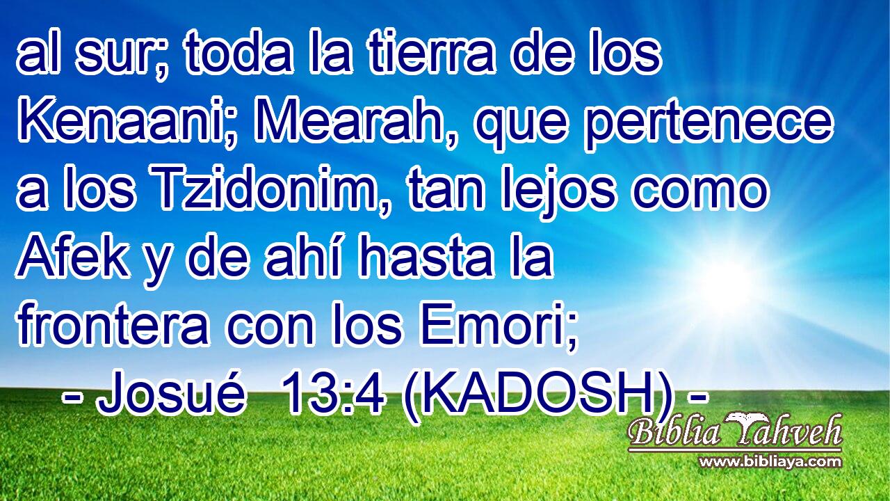  al sur; toda la tierra de los Kenaani; Mearah, que pertenece a los Tzidonim, tan lejos como Afek y de ahí hasta la frontera con los Emori; 