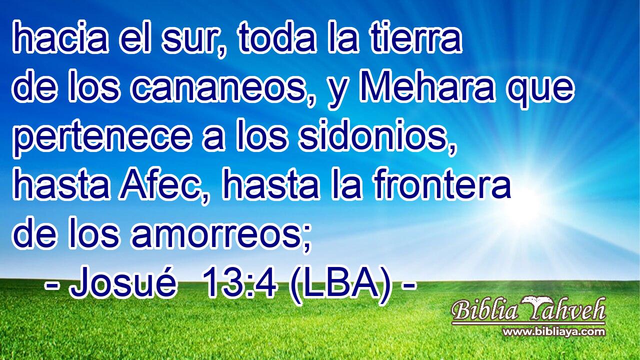 hacia el sur, toda la tierra de los cananeos, y Mehara que pertenece a los sidonios, hasta Afec, hasta la frontera de los amorreos;
