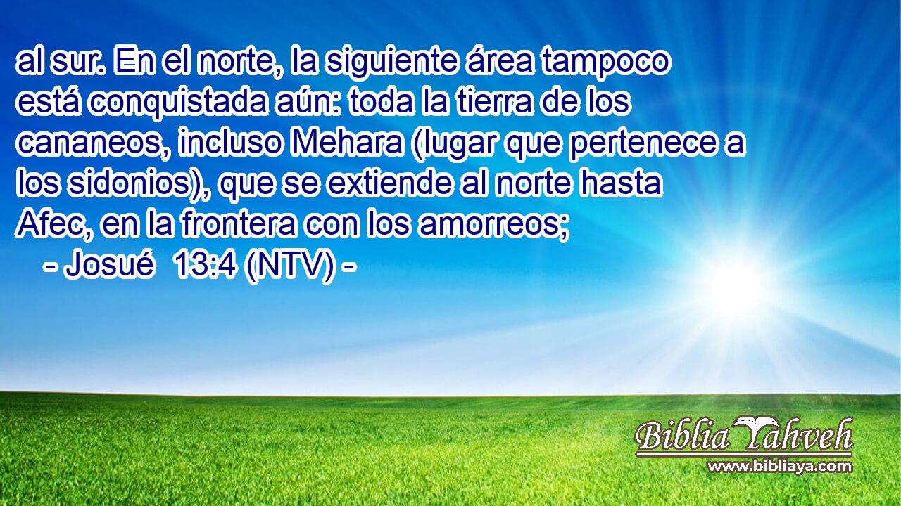 al sur. En el norte, la siguiente área tampoco está conquistada aún: toda la tierra de los cananeos, incluso Mehara (lugar que pertenece a los sidonios), que se extiende al norte hasta Afec, en la frontera con los amorreos;