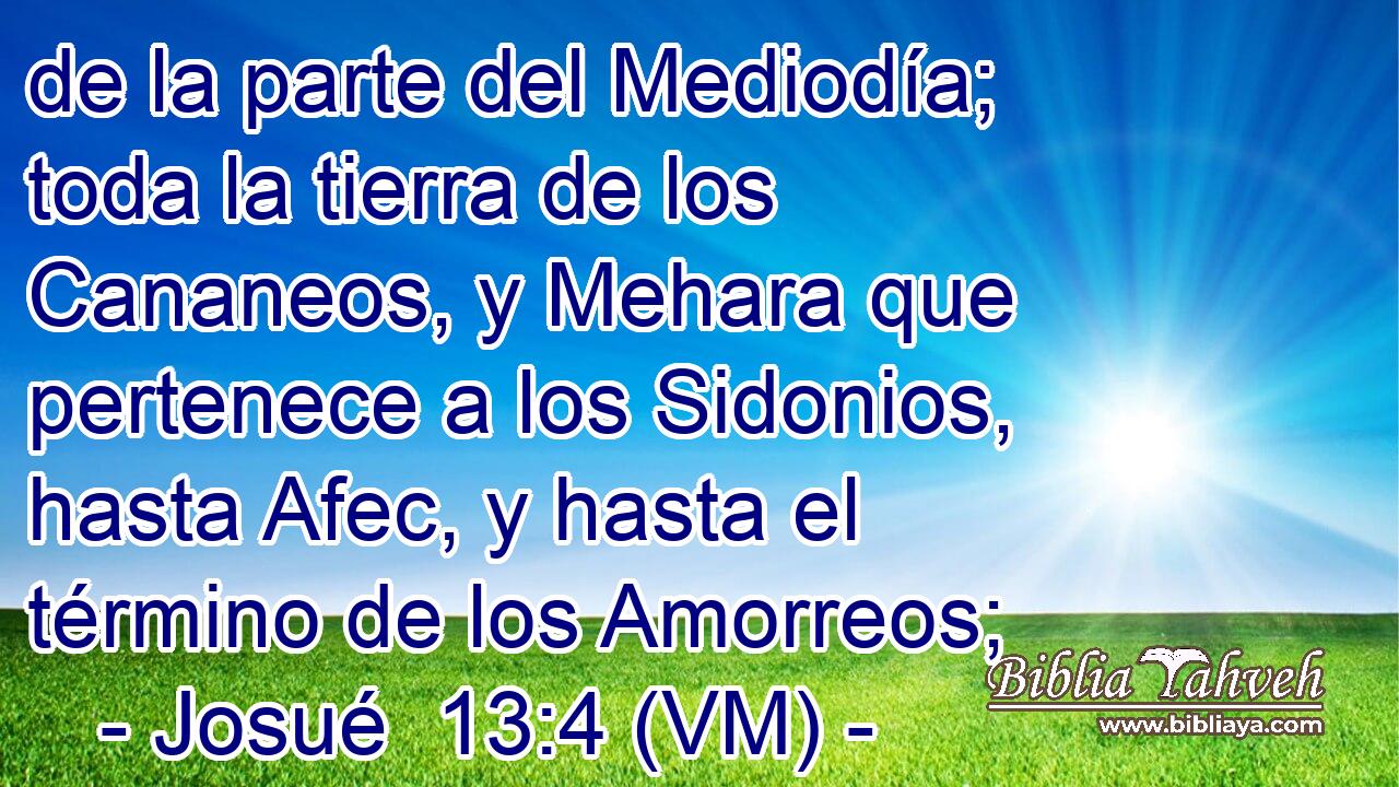  de la parte del Mediodía; toda la tierra de los Cananeos, y Mehara que pertenece a los Sidonios, hasta Afec, y hasta el término de los Amorreos; 