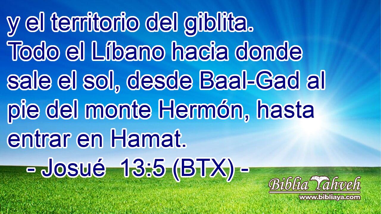y el territorio del giblita. Todo el Líbano hacia donde sale el sol, desde Baal-Gad al pie del monte Hermón, hasta entrar en Hamat.