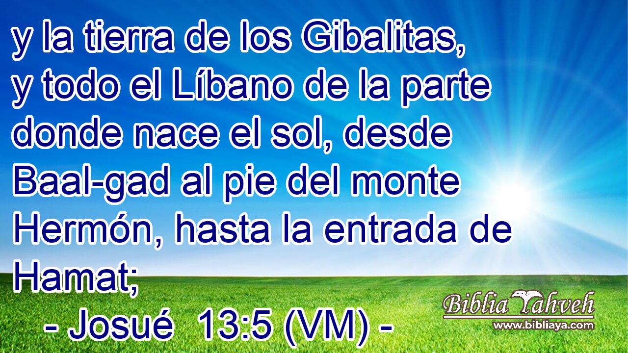  y la tierra de los Gibalitas, y todo el Líbano de la parte donde nace el sol, desde Baal-gad al pie del monte Hermón, hasta la entrada de Hamat; 