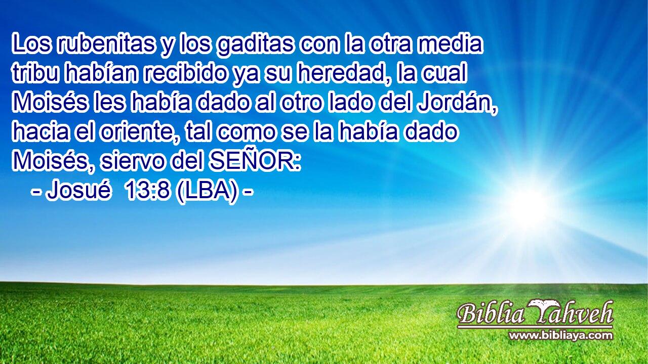 Los rubenitas y los gaditas con la otra media tribu habían recibido ya su heredad, la cual Moisés les había dado al otro lado del Jordán, hacia el oriente, tal como se la había dado Moisés, siervo del SEÑOR: