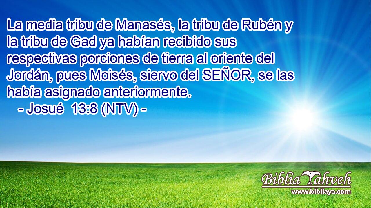 La media tribu de Manasés, la tribu de Rubén y la tribu de Gad ya habían recibido sus respectivas porciones de tierra al oriente del Jordán, pues Moisés, siervo del SEÑOR, se las había asignado anteriormente.