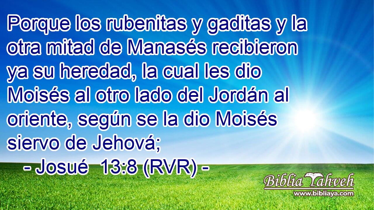 Porque los rubenitas y gaditas y la otra mitad de Manasés recibieron ya su heredad, la cual les dio Moisés al otro lado del Jordán al oriente, según se la dio Moisés siervo de Jehová;